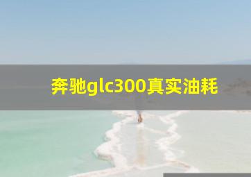 奔驰glc300真实油耗