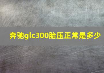 奔驰glc300胎压正常是多少