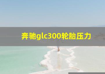 奔驰glc300轮胎压力