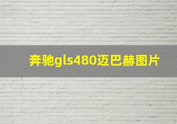 奔驰gls480迈巴赫图片