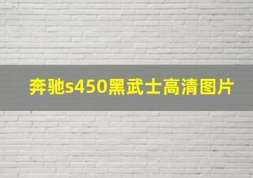 奔驰s450黑武士高清图片