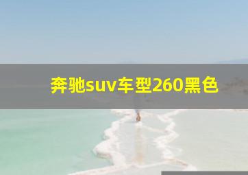 奔驰suv车型260黑色