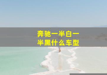 奔驰一半白一半黑什么车型