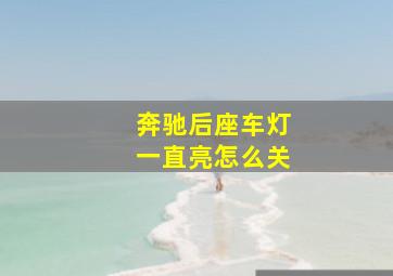 奔驰后座车灯一直亮怎么关