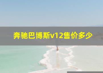 奔驰巴博斯v12售价多少