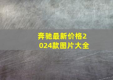 奔驰最新价格2024款图片大全