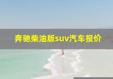 奔驰柴油版suv汽车报价