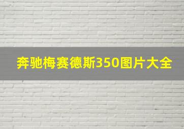 奔驰梅赛德斯350图片大全