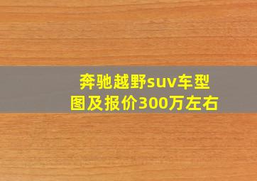 奔驰越野suv车型图及报价300万左右