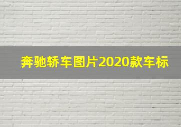 奔驰轿车图片2020款车标