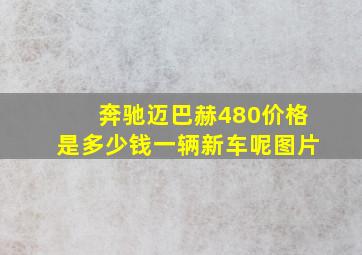 奔驰迈巴赫480价格是多少钱一辆新车呢图片