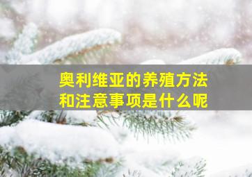 奥利维亚的养殖方法和注意事项是什么呢