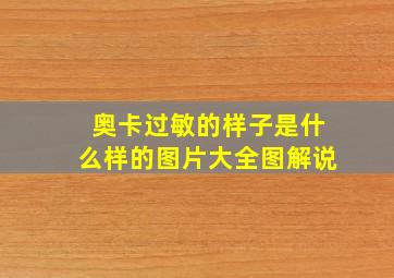 奥卡过敏的样子是什么样的图片大全图解说