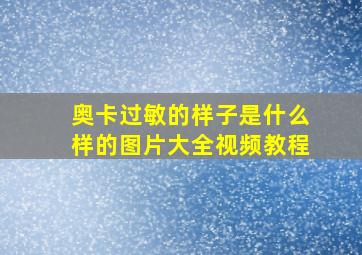 奥卡过敏的样子是什么样的图片大全视频教程