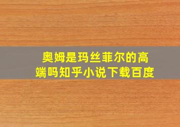 奥姆是玛丝菲尔的高端吗知乎小说下载百度