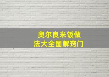 奥尔良米饭做法大全图解窍门