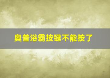 奥普浴霸按键不能按了