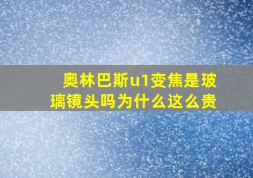 奥林巴斯u1变焦是玻璃镜头吗为什么这么贵