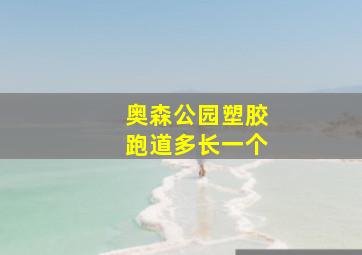 奥森公园塑胶跑道多长一个