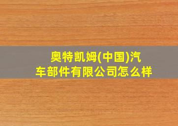 奥特凯姆(中国)汽车部件有限公司怎么样