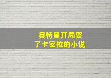 奥特曼开局娶了卡密拉的小说