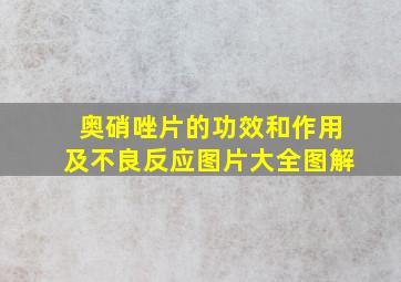 奥硝唑片的功效和作用及不良反应图片大全图解