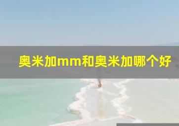 奥米加mm和奥米加哪个好