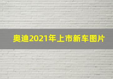 奥迪2021年上市新车图片