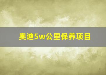 奥迪5w公里保养项目