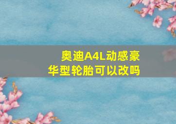 奥迪A4L动感豪华型轮胎可以改吗