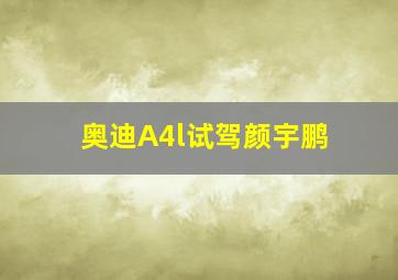 奥迪A4l试驾颜宇鹏