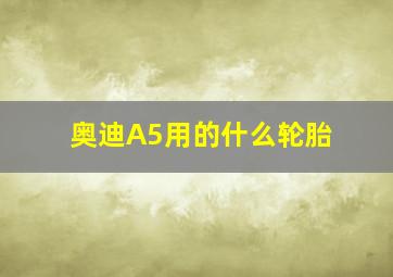 奥迪A5用的什么轮胎