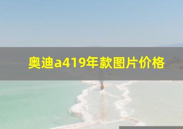 奥迪a419年款图片价格