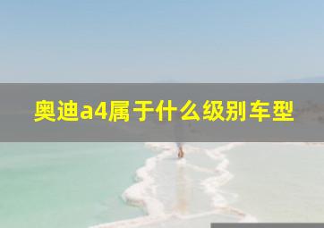 奥迪a4属于什么级别车型