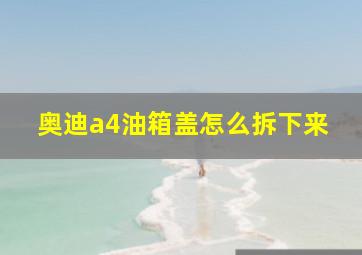 奥迪a4油箱盖怎么拆下来