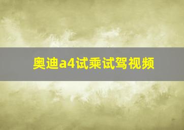 奥迪a4试乘试驾视频