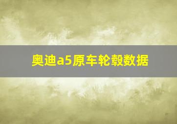 奥迪a5原车轮毂数据