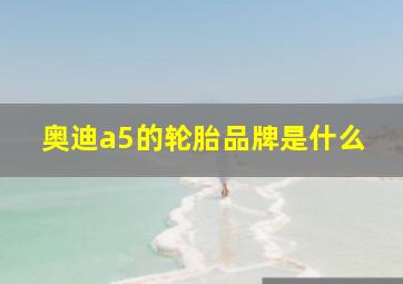 奥迪a5的轮胎品牌是什么