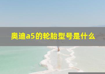 奥迪a5的轮胎型号是什么