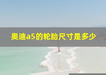 奥迪a5的轮胎尺寸是多少