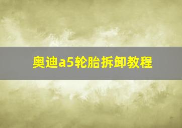 奥迪a5轮胎拆卸教程