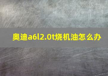 奥迪a6l2.0t烧机油怎么办