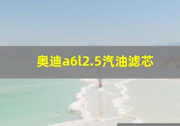 奥迪a6l2.5汽油滤芯