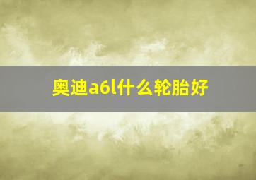 奥迪a6l什么轮胎好