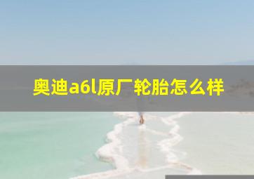 奥迪a6l原厂轮胎怎么样