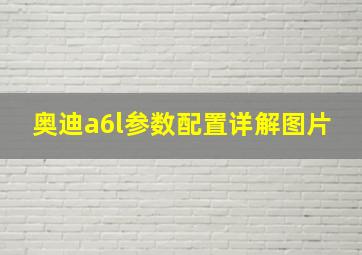 奥迪a6l参数配置详解图片