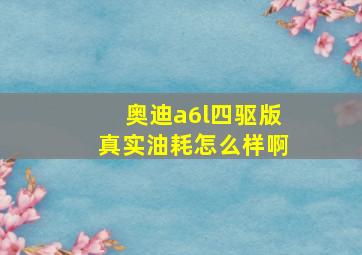 奥迪a6l四驱版真实油耗怎么样啊