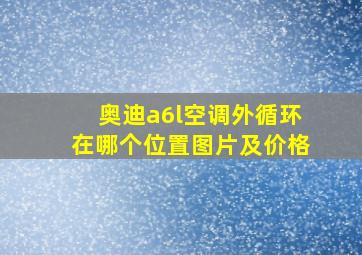 奥迪a6l空调外循环在哪个位置图片及价格