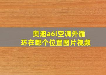 奥迪a6l空调外循环在哪个位置图片视频