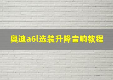 奥迪a6l选装升降音响教程